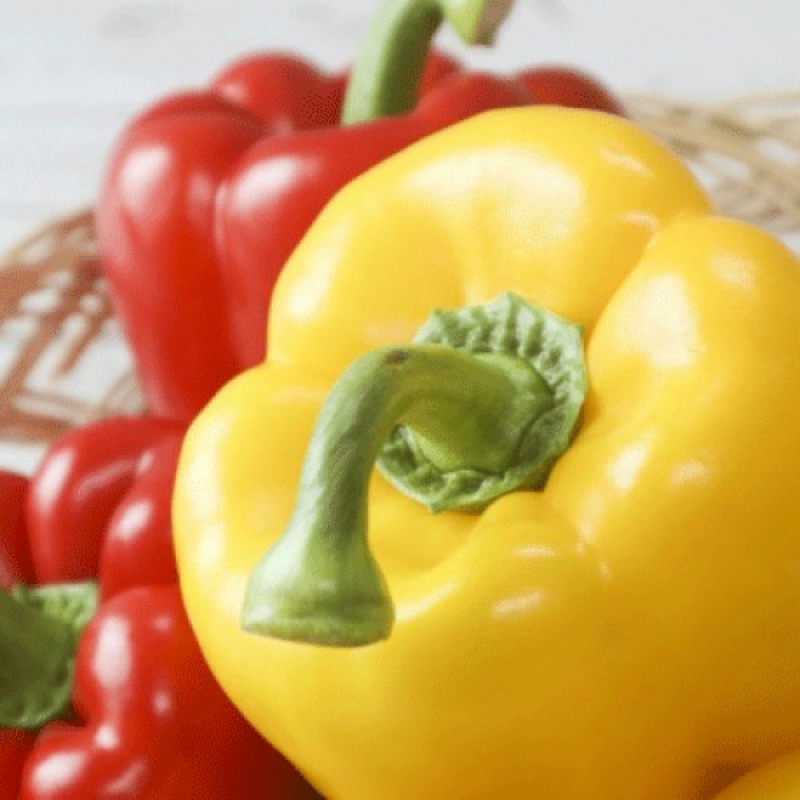 늘싱그러운, 늘싱,늘싱 철원 파프리카 5kg 빨강 노랑 혼합